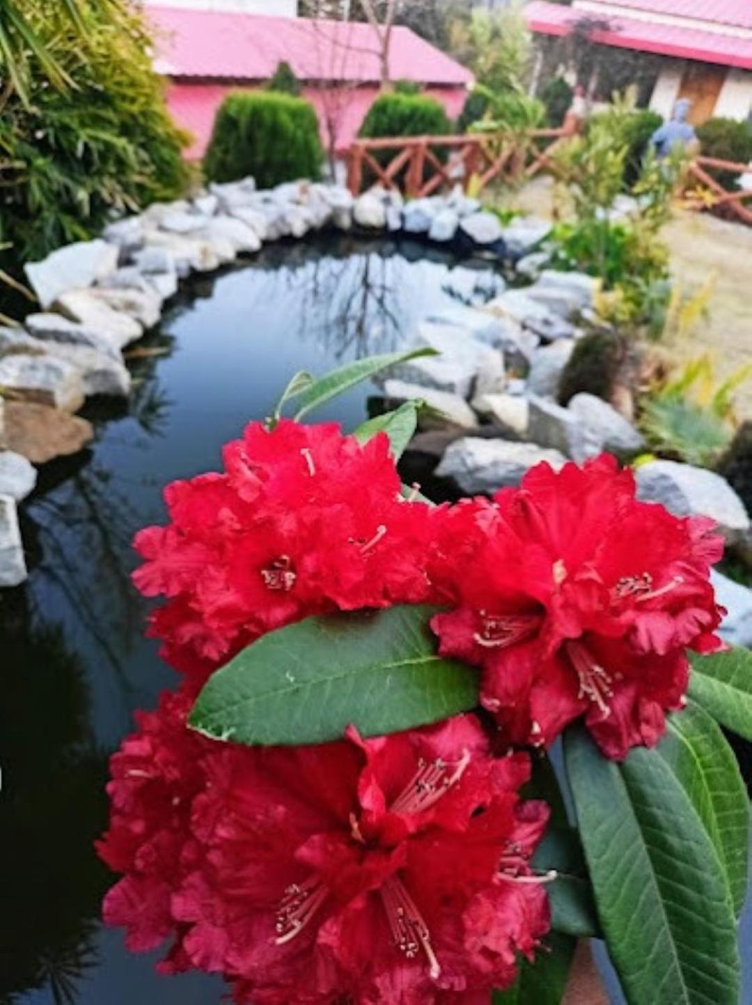 The Village Retreat Resort , Guptkashi Gupta Kāshi Kültér fotó